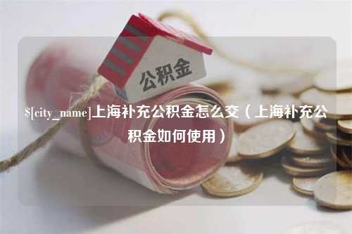 邢台上海补充公积金怎么交（上海补充公积金如何使用）